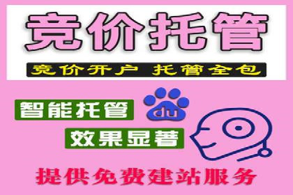 案例对比：关键词竞价排名的优劣